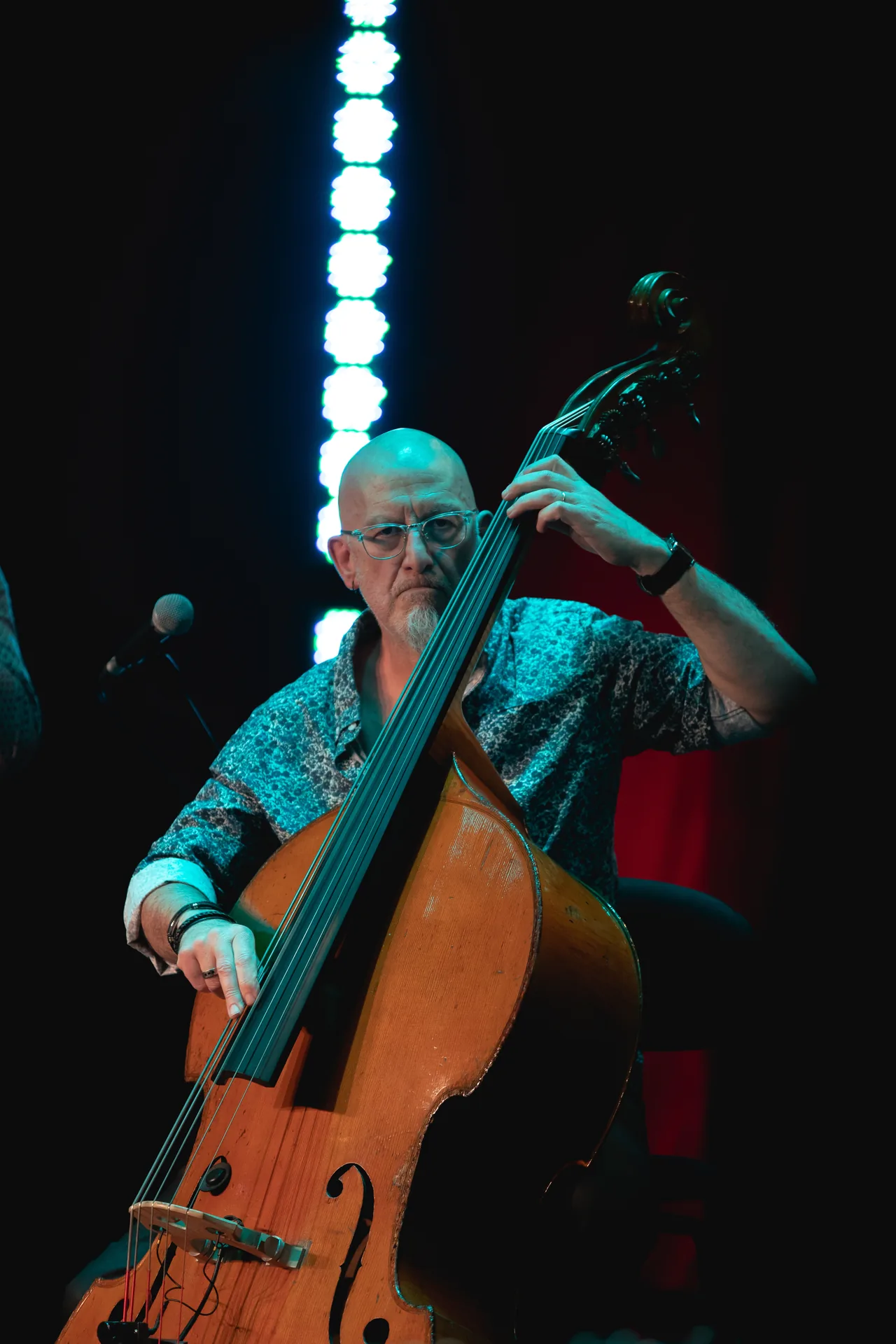 Contrebassiste jazz